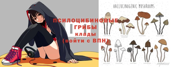 спайс Сосновый Бор
