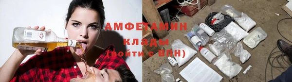 крисы Сосновка