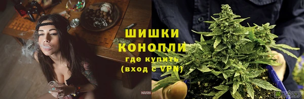 дживик Сосновоборск